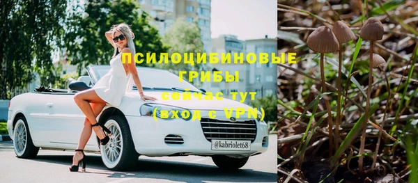 хмурый Сафоново