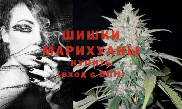 шишки Алексеевка
